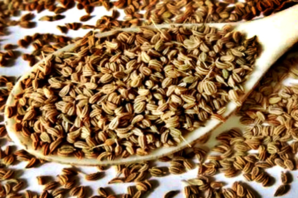 05-75-1760008677-759231-khaskhabar